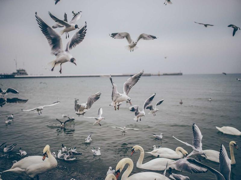 sudoku logic solving screenshot 6